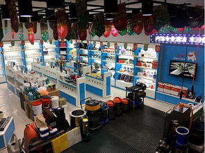 2018年賺錢商機 開汽車美容用品代理店與拓展保潔服務